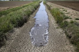 El ministerio de Economía nacional declaró la emergencia agropecuaria en 33 municipios bonaerenses