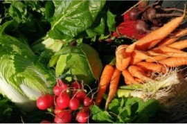 La Provincia comprará 24 mil kits de verdura agroecológica para asistir a familias vulnerables