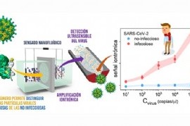 CONICET La Plata desarrolló un novedoso test rápido de detección de COVID-19