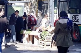 El "Mercado en Tu Centro" (de La Plata) avanza y no se detiene: un verdadero éxito comercial