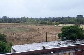 Toma de terrenos: bombas "molotov", detenidos y cruces entre la Provincia y el Municipio