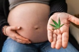 La Defensoría del Pueblo bonaerense, a favor de "Marihuana Cero" durante el embarazo y la lactancia