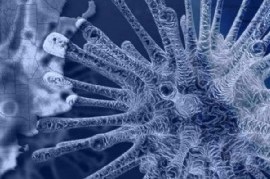 Coronavirus: el Gobierno nacional confirmó 117 muertes y 9.924 nuevos contagios en las últimas 24 hs