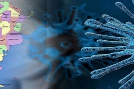 Informe: La dinámica cambiante que generó la Pandemia