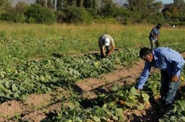 La CTA Autónoma tiene un nuevo sindicato rural, con el que peleará el espacio a la UATRE