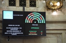 Las PASO nacionales, al menos en 2025, pasaron a ser historia: el Senado las suspendió