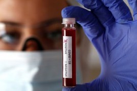 Coronavirus: el Gobierno nacional confirmó 110 muertes y 6.663 nuevos contagios en las últimas 24 hs