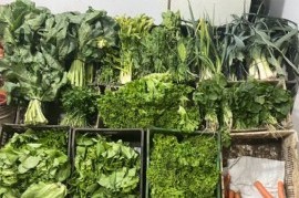 Por el último temporal, los precios de las verduras en La Plata están por las nubes