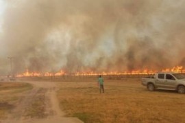 En La Plata y Berisso suman donaciones para los afectados por los incendios en Corrientes