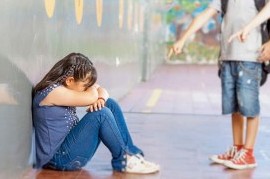 Denuncia penal en La Plata por bullying contra un alumno, sus padres y autoridades escolares