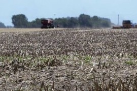 El Banco Provincia dará créditos accesibles para productores del campo afectados por la sequía