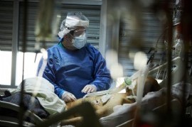 Notificaron 447 muertes y 18.057 contagios de Coronavirus en las últimas 24 horas