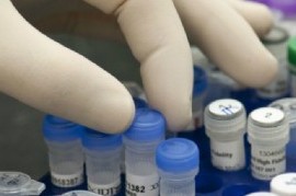 Coronavirus: el Gobierno nacional confirmó 115 muertes y 10776 nuevos contagios en las últimas 24 hs