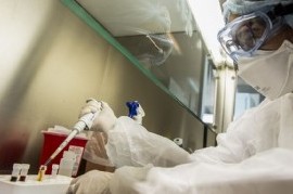 El Coronavirus y un leve respiro: confirmaron 347 muertes y 16.415 contagios en las últimas 24 horas