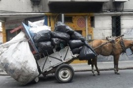 Caballos robados en La Plata: según una ONG, es "un negocio similar al del tráfico de drogas"