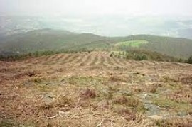 En Argentina, el 70% de los suelos está en proceso de desertificación