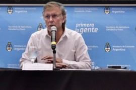 Gripe Aviar en Argentina: confirmaron un caso y el Gobierno nacional declaró la emergencia sanitaria