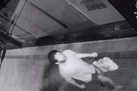 La Plata: ni los arbolitos se salvan de los ladrones