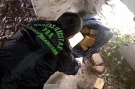 Querían festejar con drogas en Junín: 15 kilos de marihuana para el Día de la Primavera