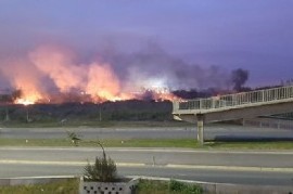 Organización ambientalista denuncia que hay incendios intencionales en reservas del Conurbano