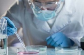 Coronavirus: el Gobierno nacional confirmó 203 muertes y 9.309 nuevos contagios en las últimas 24 hs
