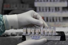 18-11-2020 // Coronavirus: el Gobierno nacional confirmó 241 muertes y 10.621 nuevos contagios