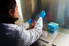 Hallazgo histórico e inédito en La Plata sobre gastroenterología pediátrica