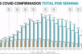 -EN VIVO- El Gobierno bonaerense da a conocer su informe epidemiológico por situación del COVID-19