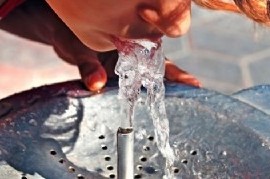 En La Plata, proponen que se coloquen bebederos en los espacios públicos al aire libre