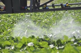 Confirmaron el procesamiento contra dos ex funcionarios municipales por el manejo de agroquímicos