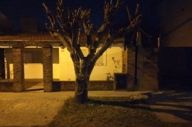 La Plata: un joven quiso robar en la casa de un policía y se encontró con un feroz perro Pitbull