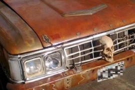 Amó tanto al auto que el hijo le hizo el "homenaje merecido": colocó su calavera en la parrilla