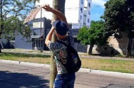 La Plata: un personaje apodado "alemán" retira carteles publicitarios de la vía pública