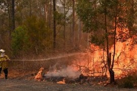 Se reglamentó la Ley provincial de Manejo del Fuego