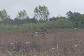 En el Barrio Aeropuerto de La Plata intentaron usurpar terrenos: un detenido y 30 personas imputadas