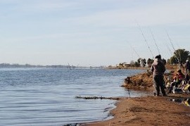 Kicillof corrigió a diputados y senadores bonaerenses en una ley que protege una Reserva Natural