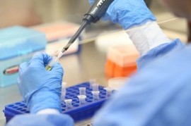 Coronavirus: el Gobierno nacional confirmó 120 muertes y 5.939 nuevos contagios en las últimas 24 hs