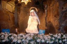 Video: Polémica por la llegada de la Virgen del Cerro de Salta a La Plata