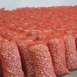 Exportadores de ajo: uno de los que les ganaron al difícil 2020