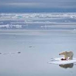 Cambio Climático: Récord de calor en el Ártico