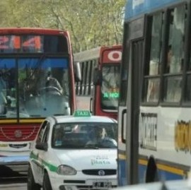 Festejos por el 8M en La Plata: este sábado, el transporte de colectivos será gratis para las mujere