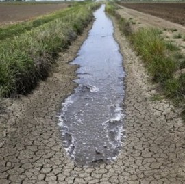 El ministerio de Economía nacional declaró la emergencia agropecuaria en 33 municipios bonaerenses