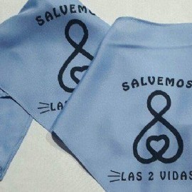 Los antiabortistas de "Provida" ya tienen su propio espacio político: el Partido Celeste