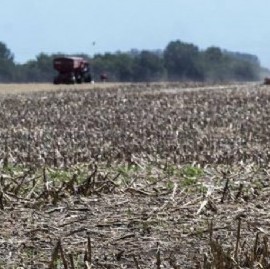 El Banco Provincia dará créditos accesibles para productores del campo afectados por la sequía