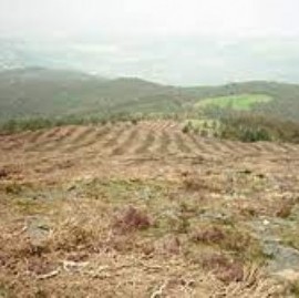 En Argentina, el 70% de los suelos está en proceso de desertificación