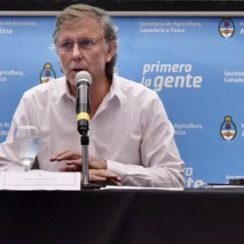 Gripe Aviar en Argentina: confirmaron un caso y el Gobierno nacional declaró la emergencia sanitaria