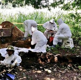 Nuevos operativos y relevamientos en el Cementerio de La Plata tras la ruta de los cadáveres